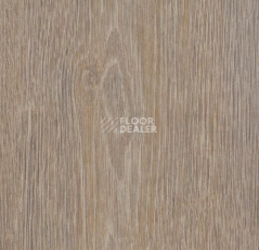 Кварцвиниловые полы Forbo Allura Click 60293CL5 steamed oak фото 1 | FLOORDEALER